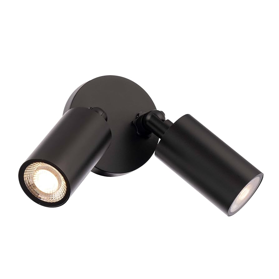 Cylinder LED Double Adjustable Indoor or Outdoor Wall Light